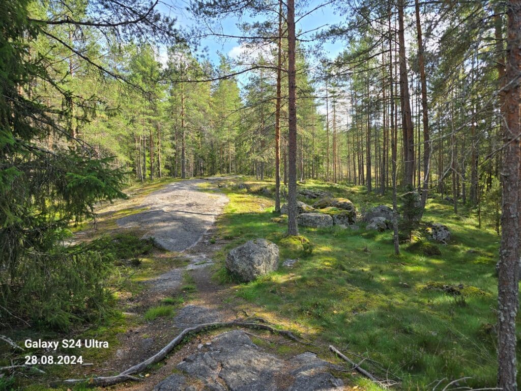 Miksi päätin suorittaa metsästäjätutkinnon juuri nyt? 8 20240828 151446 v2 – Jari Nymark